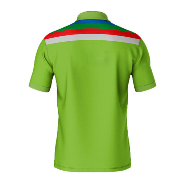 Cartaxis  ICC World Cup Pakistan Winning Fan Jersey Stretchable 100% Dryfit T-Shirt - Image 2