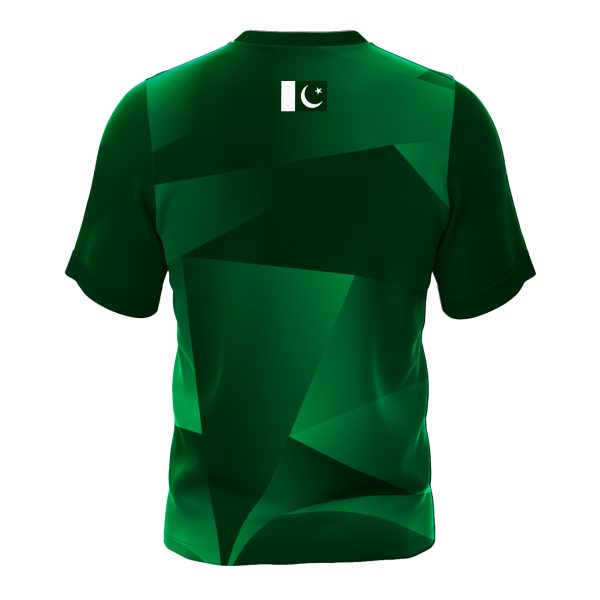 Cartaxis ICC Cricket Worldcup T20 2024 Pakistan Stretchable 100% Dryfit T-Shirt - Image 3